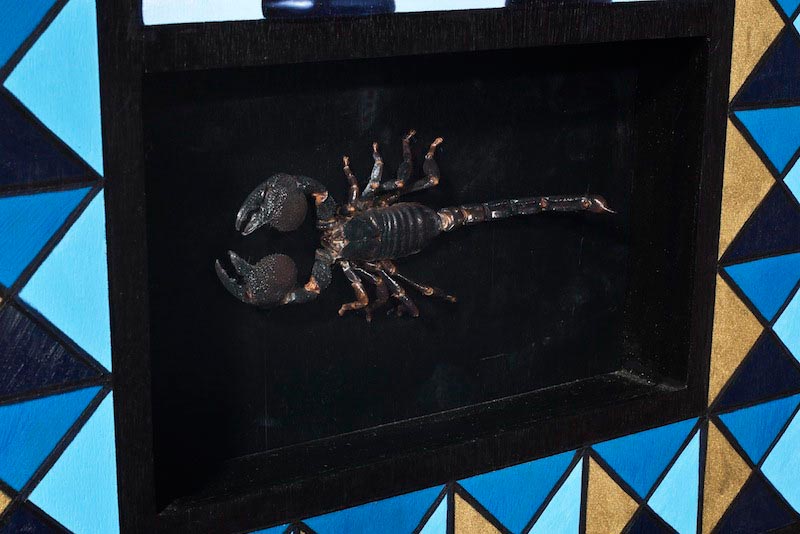 Taxidermy - Scorpion