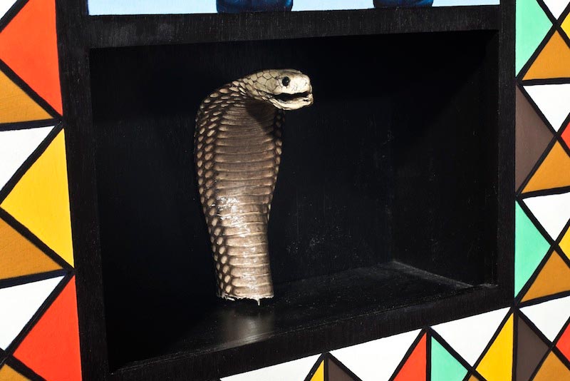 Taxidermy - Cobra